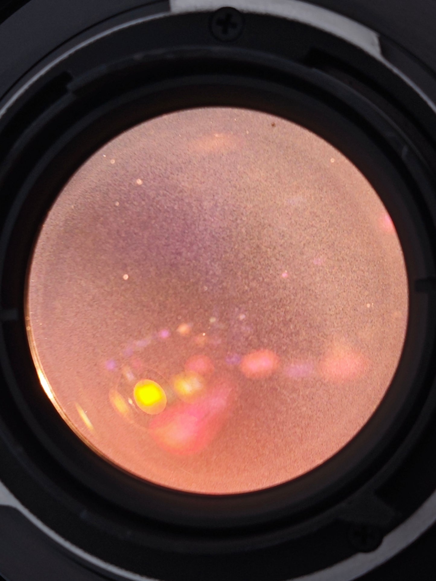 *READ* Contax RTSIII with Carl Zeiss Planar 50mm F1.4 T* MMJ