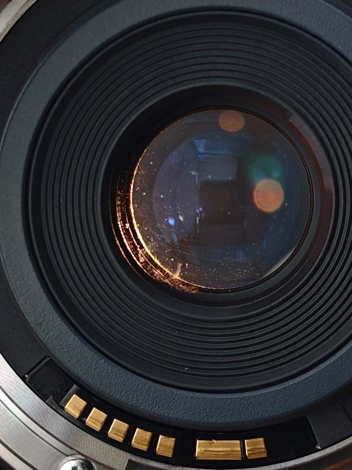 Canon Lens EF-S 24mm F2.8 STM #3701100281