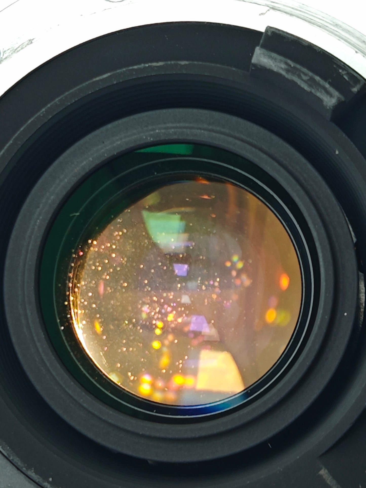 Nikon F80 with AF Nikkor 24-85mm F2.8-4 D