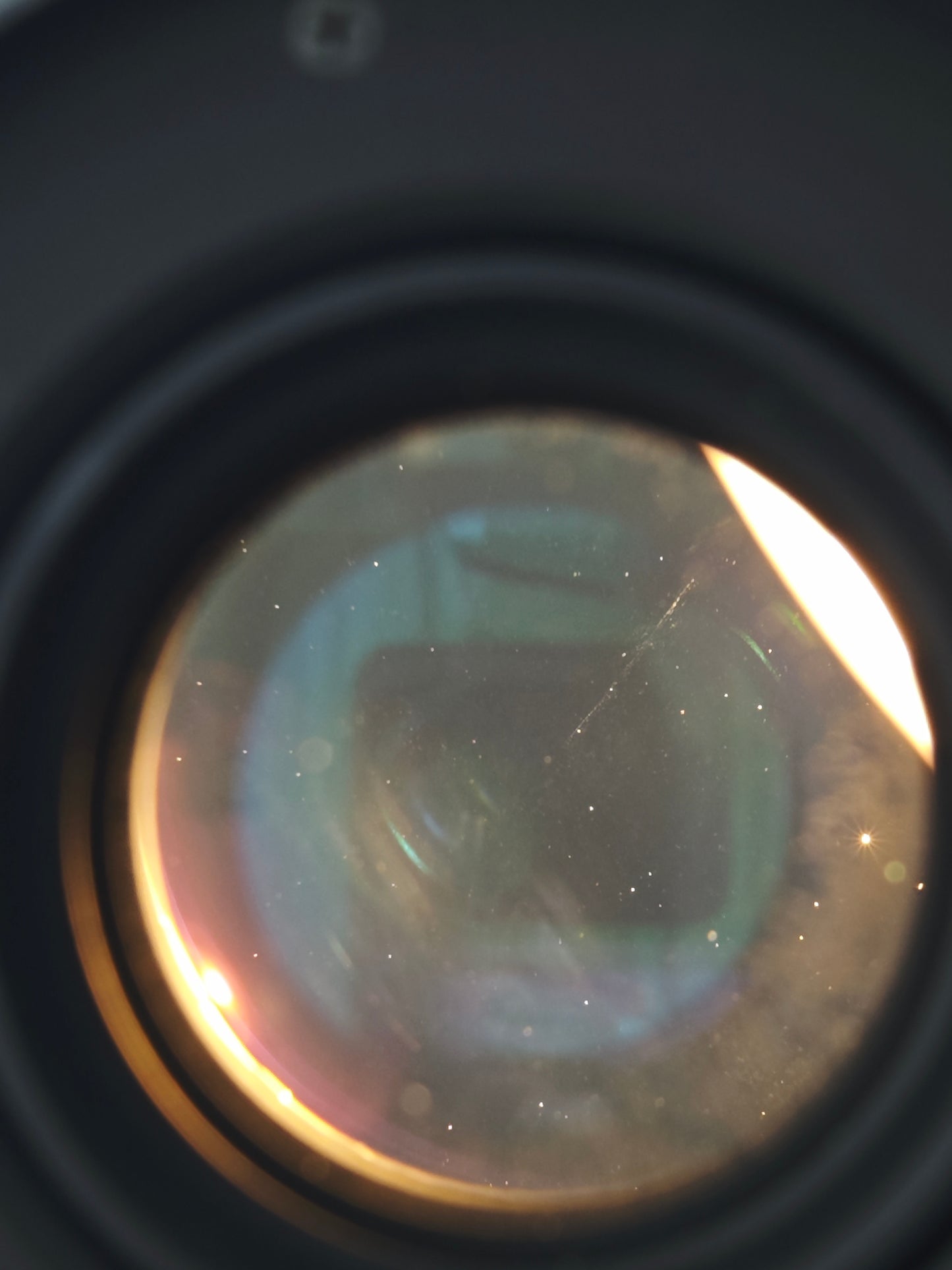 *READ* Mamiya 645 Pro TL with Mamiya-Sekor C 80mm F2.8 N