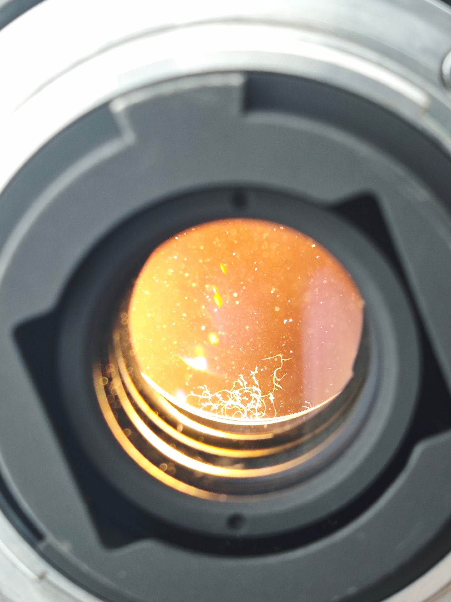 Nikon Micro-Nikkor 55mm F2.8 #736804