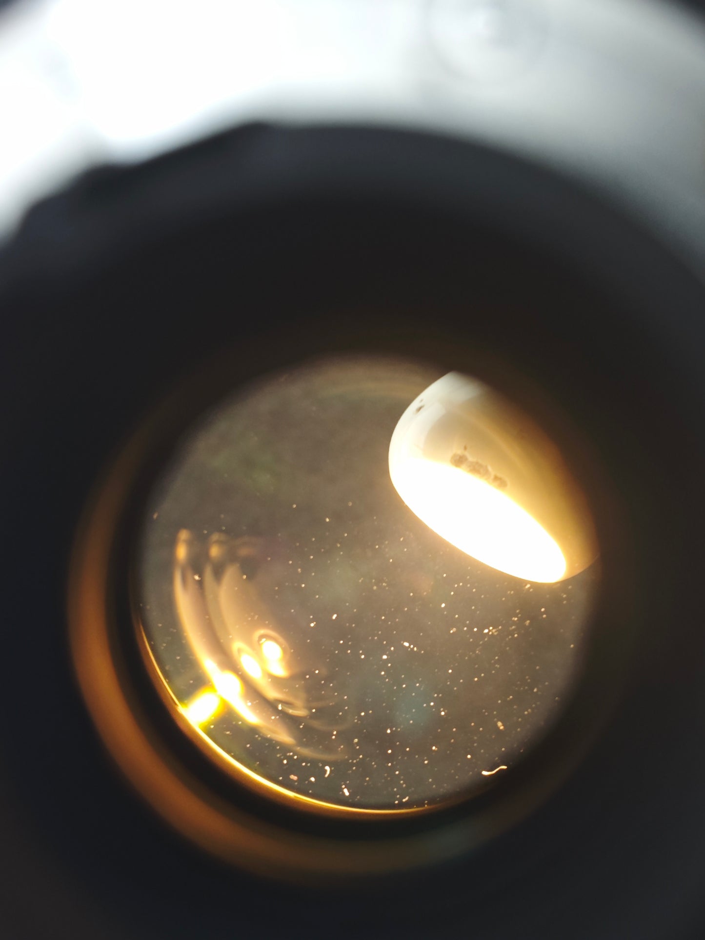 Nikon AF Nikkor 80-200mm F2.8 ED #384358