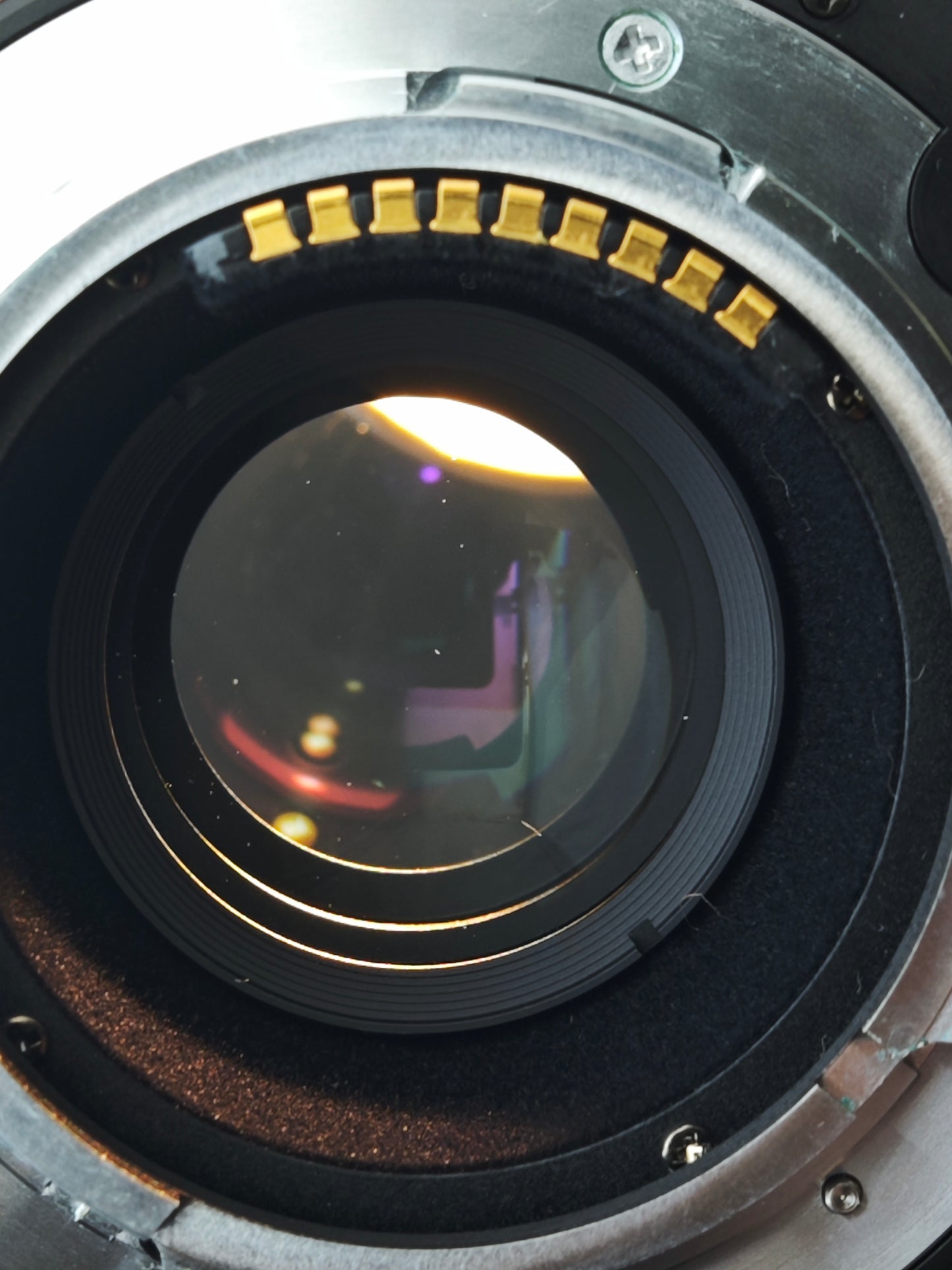 Contax G1 green label with Planar 45mm F2 T* and Sonnar 90mm F2.8 T*