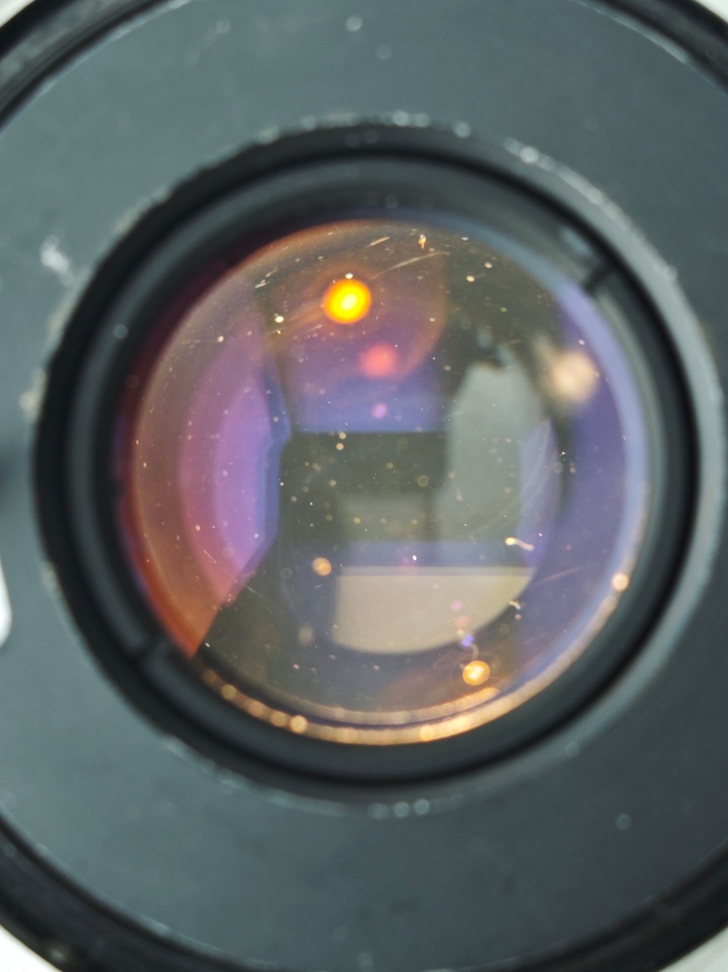 Canon Lens FL 50mm F1.8 #593672