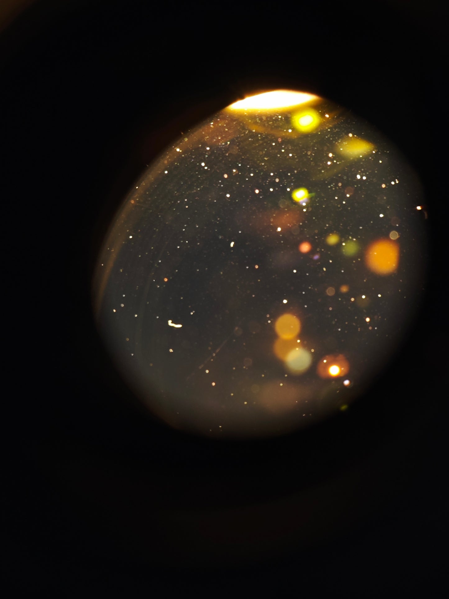 Canon Zoom Lens EF 100-400mm F4.5-5.6 L IS