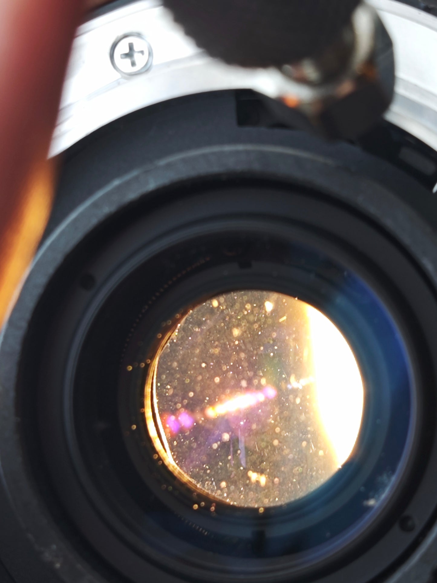 Minolta AF Macro 50mm F2.8