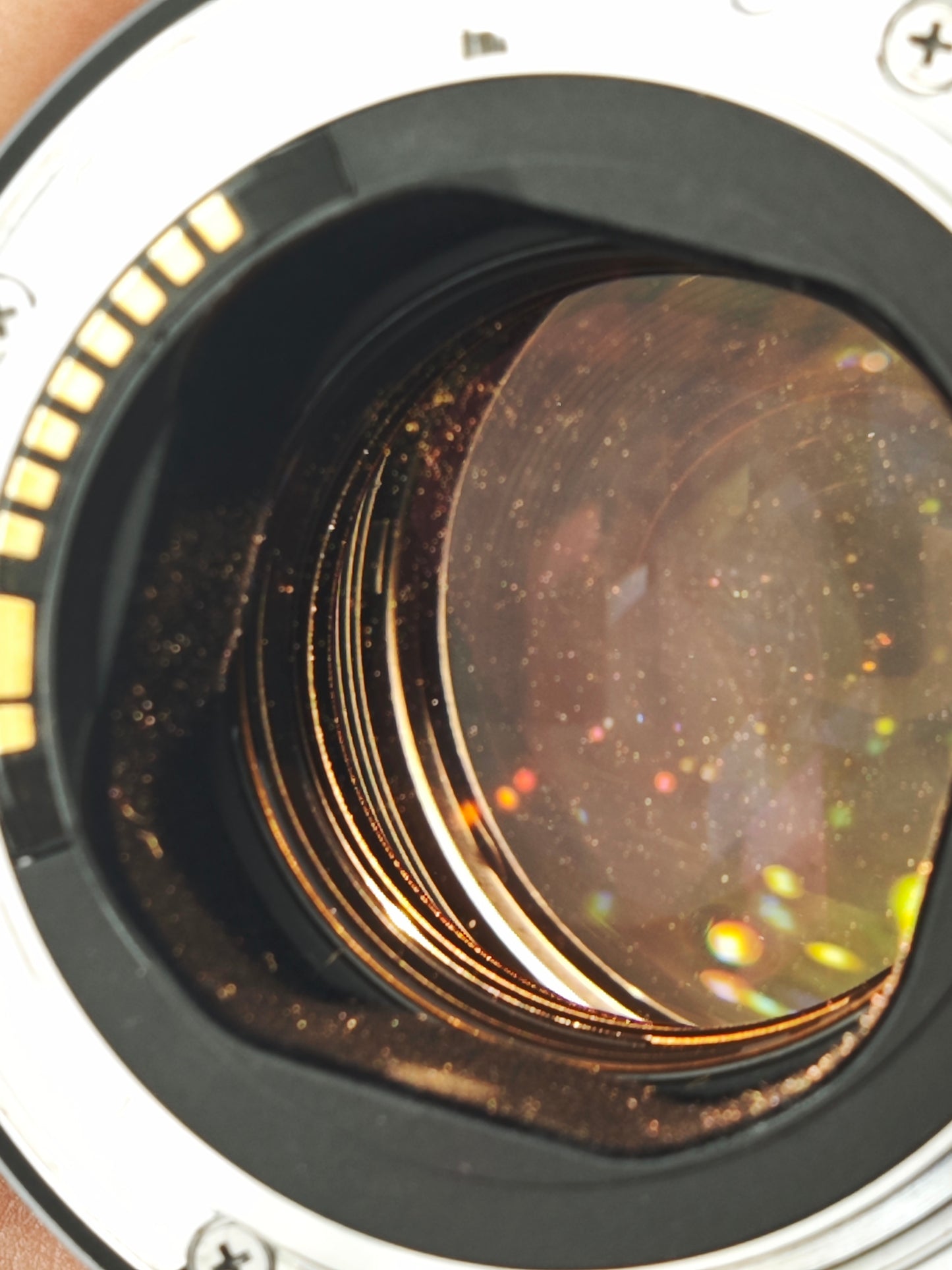 Canon Lens EF 135mm F2 L USM