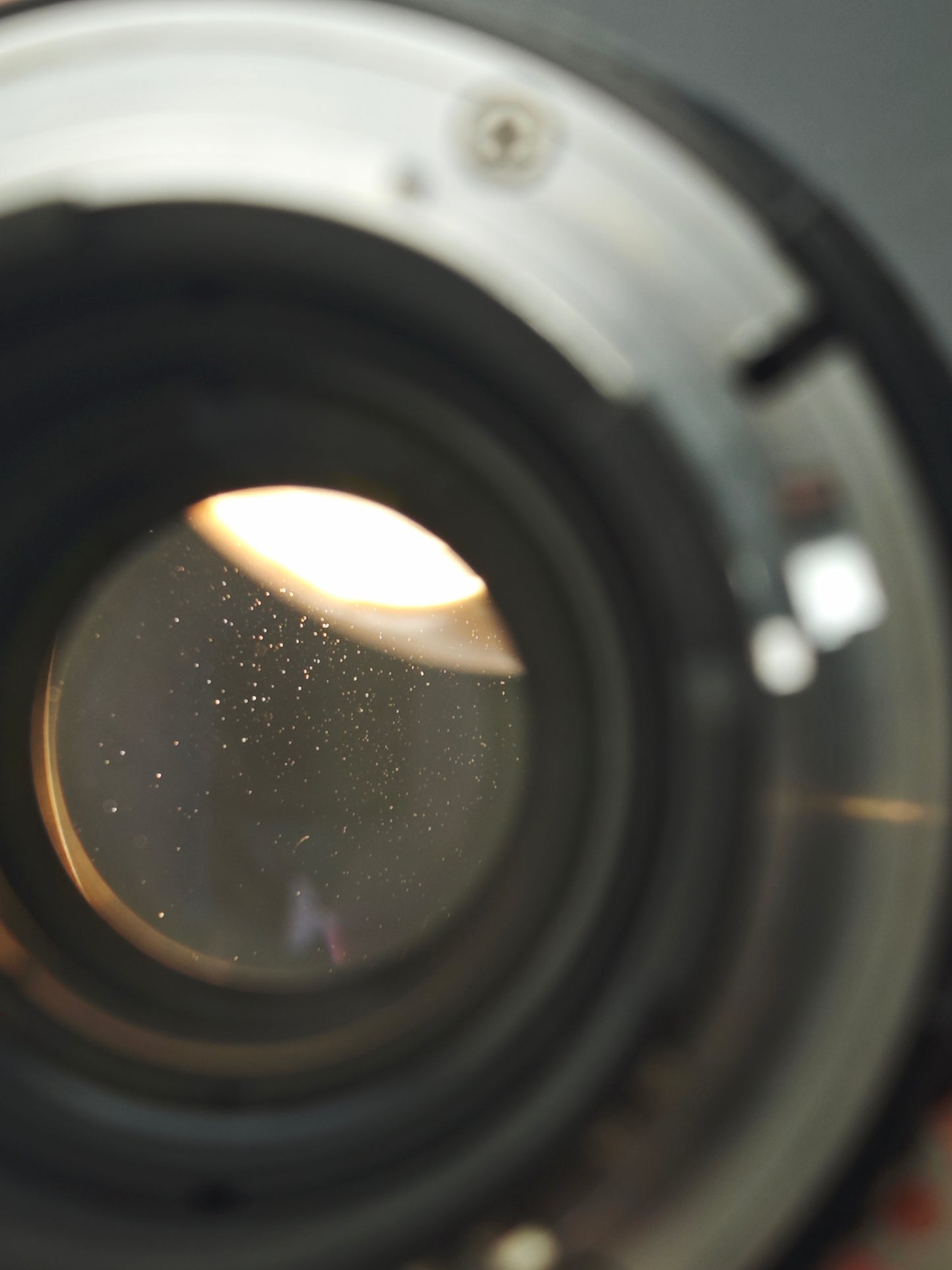 *READ* Nikon F3 AF with AF-Nikkor 80mm F2.8