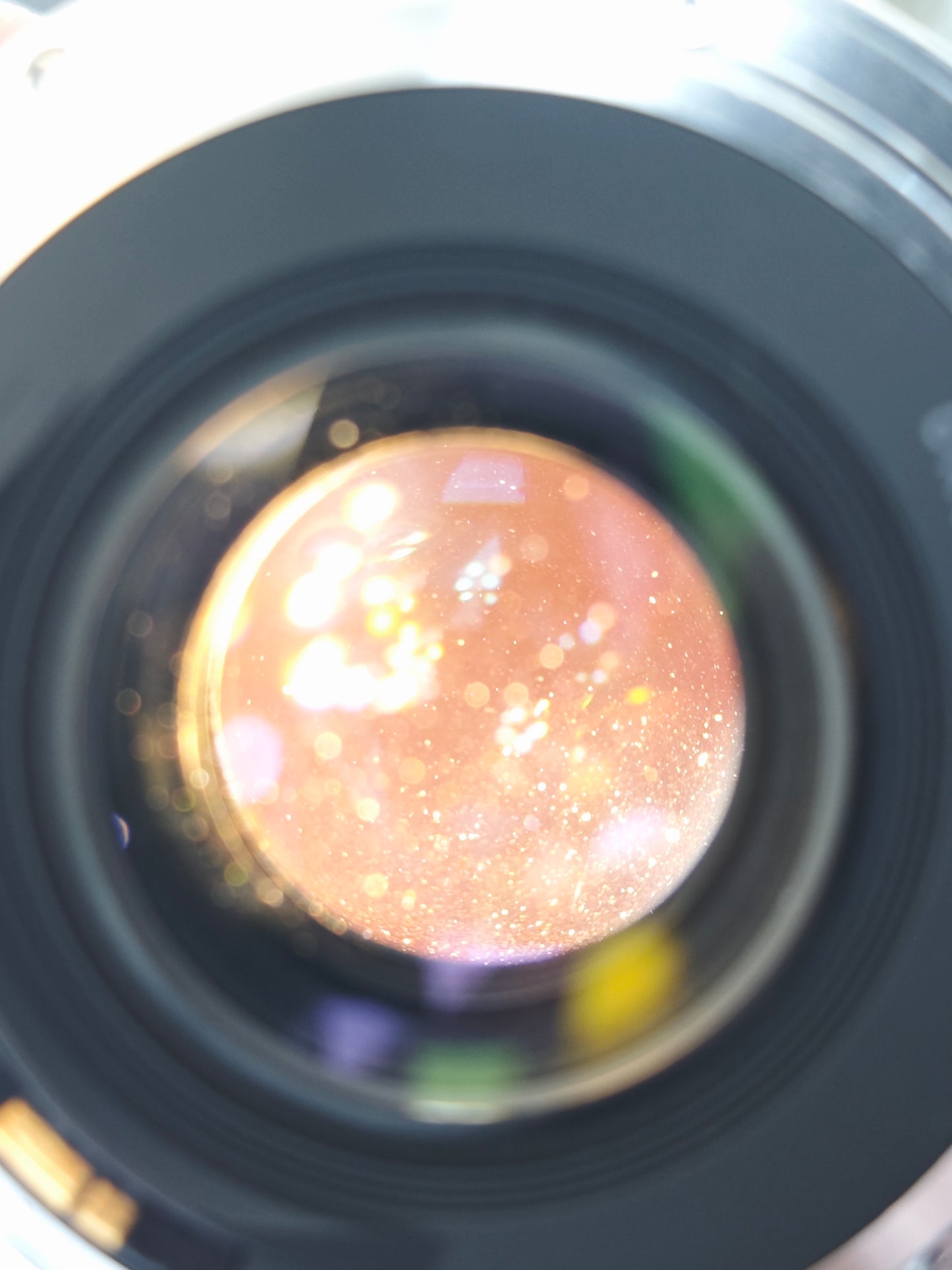 Canon Compact-Macro Lens EF 50m F2.5