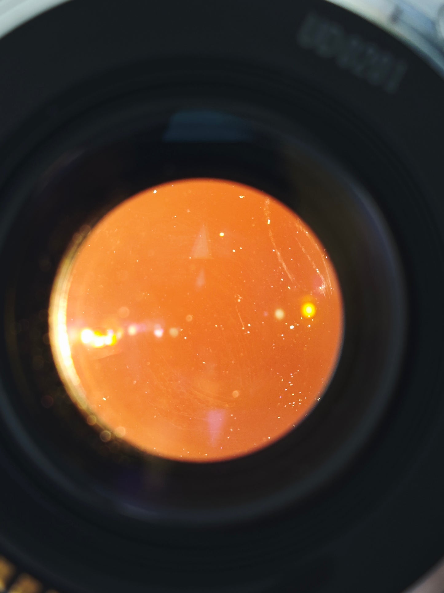 Canon Compact-Macro Lens EF 50mm F2.5 #124316