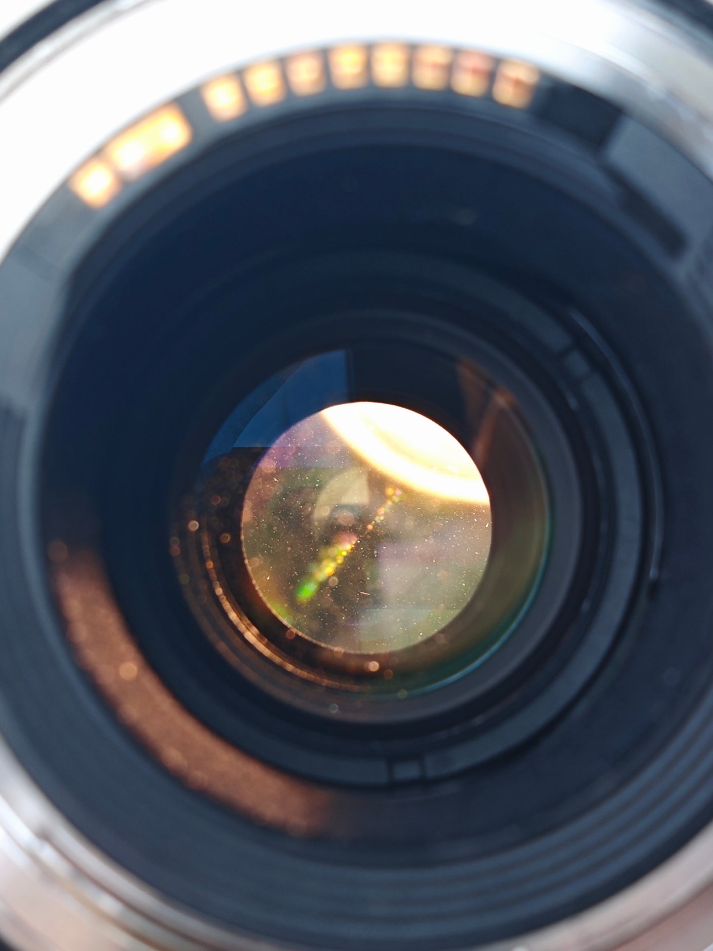 Canon Zoom Lens EF 100-400mm F4.5-5.6 L IS II USM