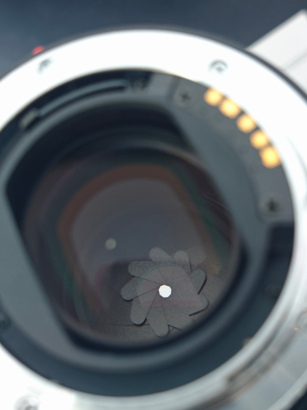 Minolta α7xi with AF Micro 100mm F2.8