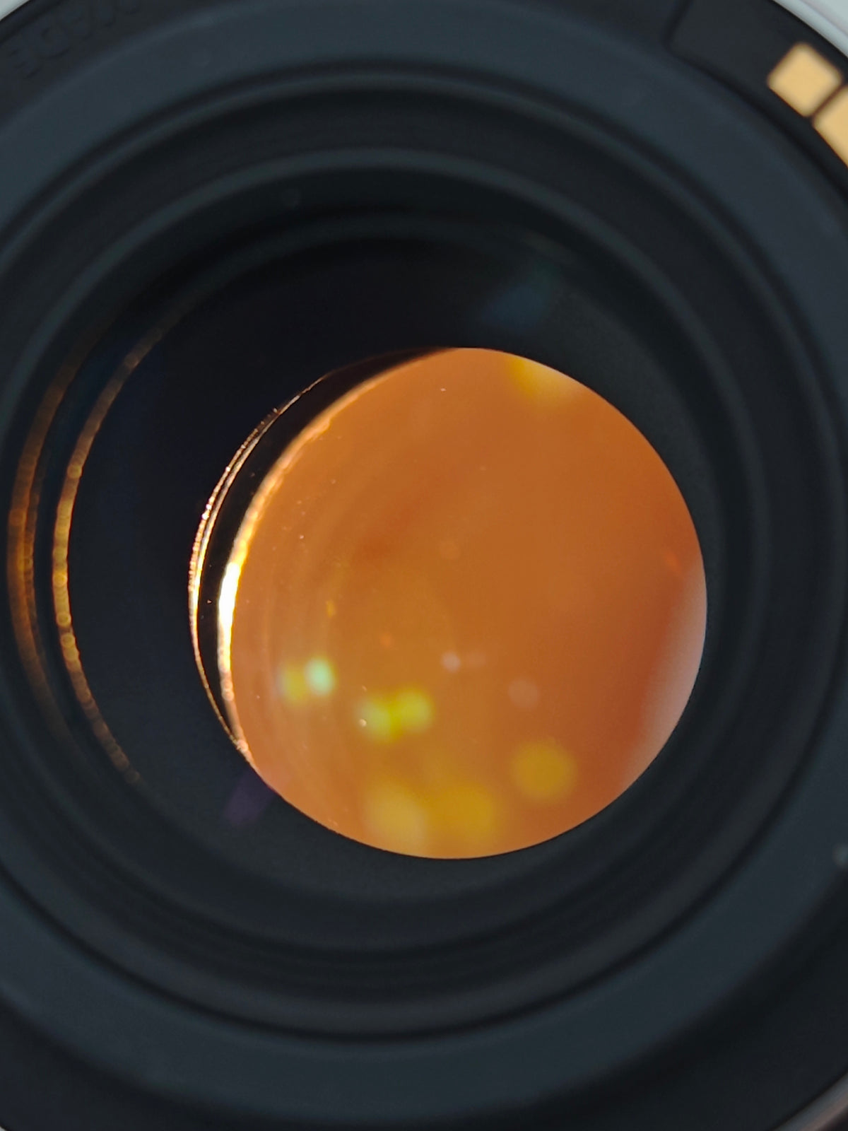 Canon Macro Lens EF-S 35mm F2.8 IS STM