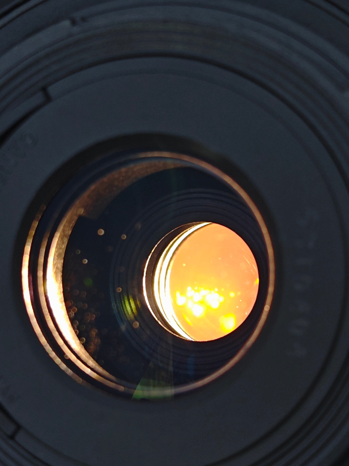 Canon EOS 7 with EF 28-80mm F3.5-5.6 V USM