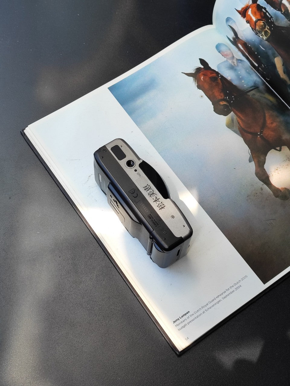 佳能 Autoboy Luna 105 全景 Ai AF