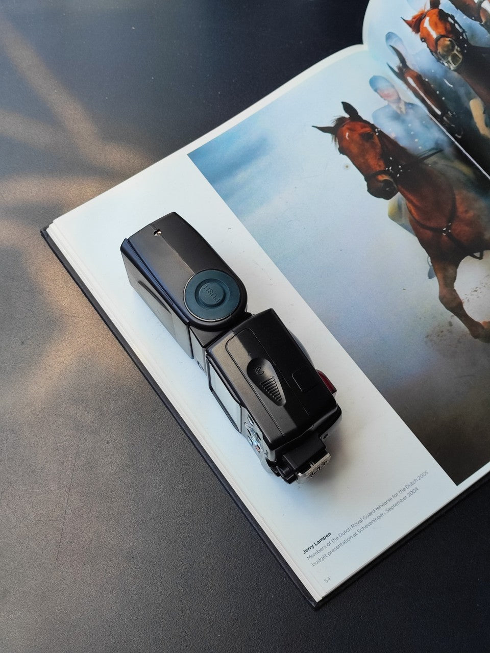 尼康闪光灯 SB-80dx