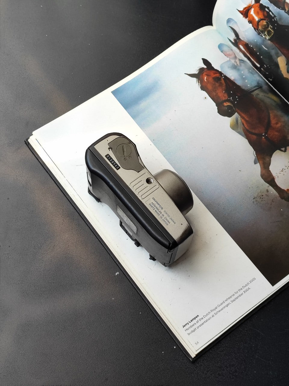 Olympus OZ120 panorama zoom