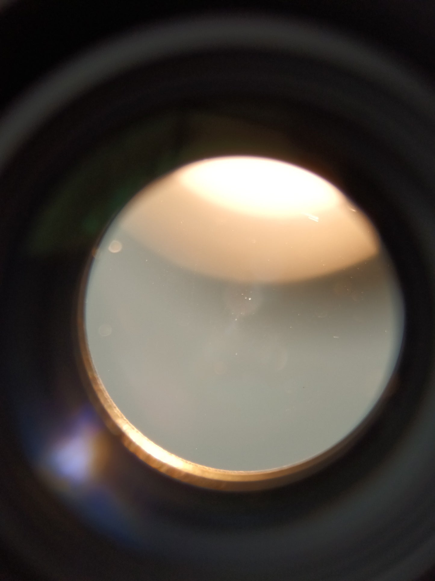 Contax Aria with Carl Zeiss Makro-Planar 60mm F2.8 C T*