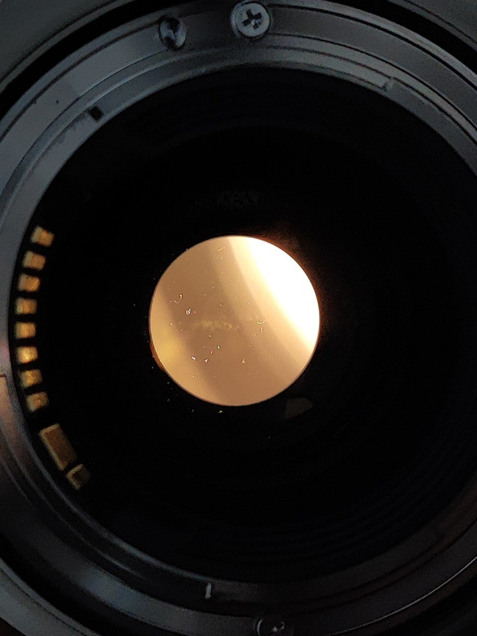 Canon Zoom Lens EF 100-400mm F4.5-5.6 L IS II USM #6920002813