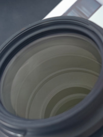 Tamron 100-400mm F4.5-6.3 Di VC USD [F mount]