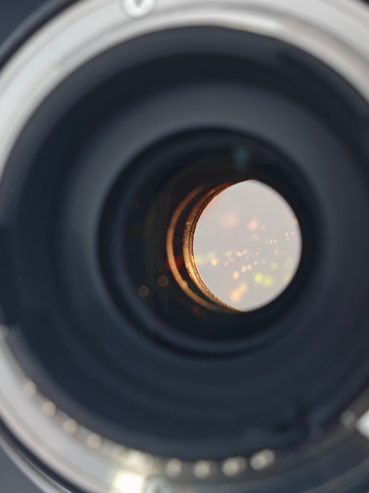 Tamron 100-400mm F4.5-6.3 Di VC USD [F mount]