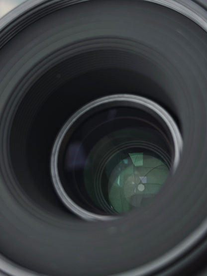 Nikon DX AF-S Micro Nikkor 40mm F2.8 G #2208311