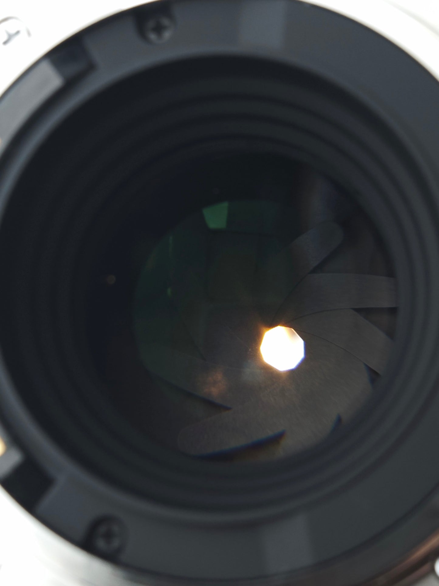 Sigma 30mm F1.4 DC DN [E mount]