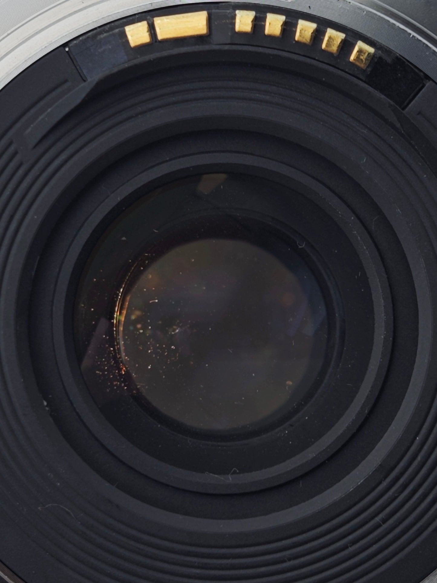 Canon Zoom Lens EF 24-70mm F4 L IS USM #07200100893