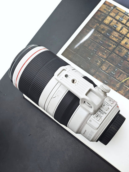 Canon Zoom Lens EF 100-400mm F4.5-5.6 L IS II USM #3380004087