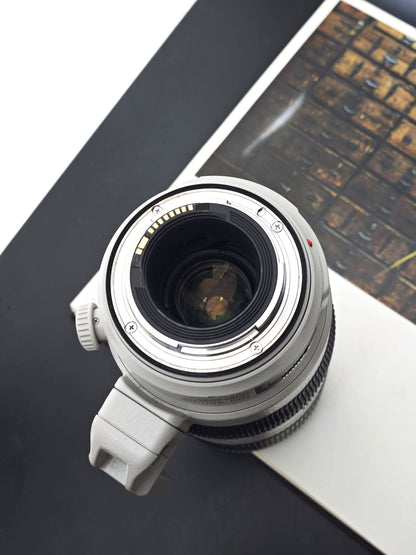 Canon Zoom Lens EF 100-400mm F4.5-5.6 L IS II USM #3380004087