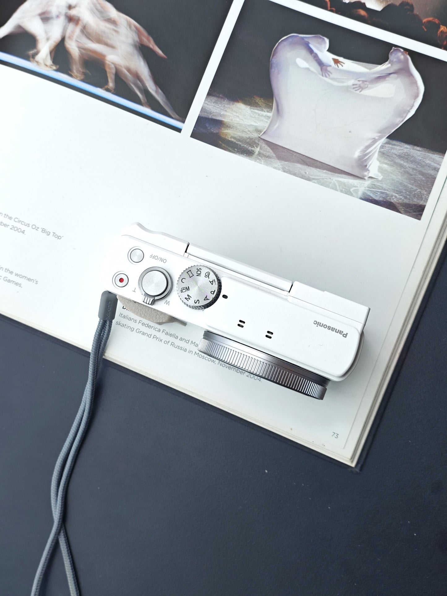 Used Panasonic Lumix DC-TZ95 Digital Camera