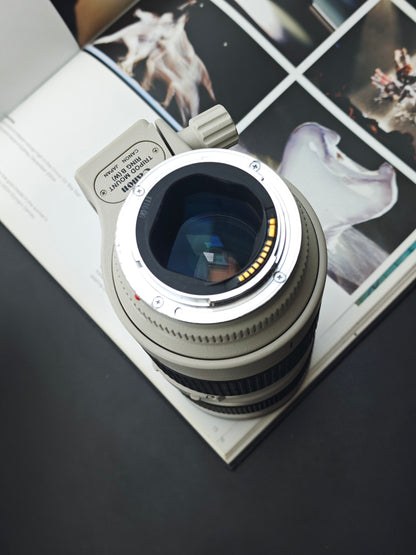 Canon Zoom Lens EF 70-200mm F2.8 L USM