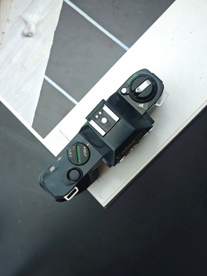 Canon T50 body