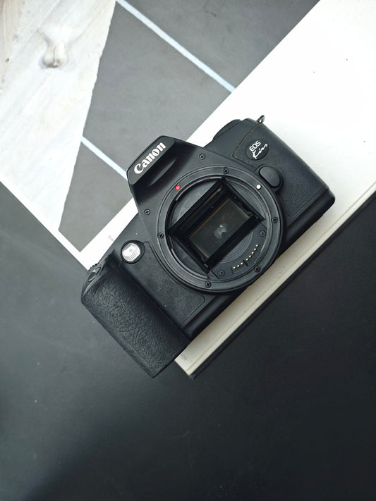 Canon EOS Kiss body #0604605