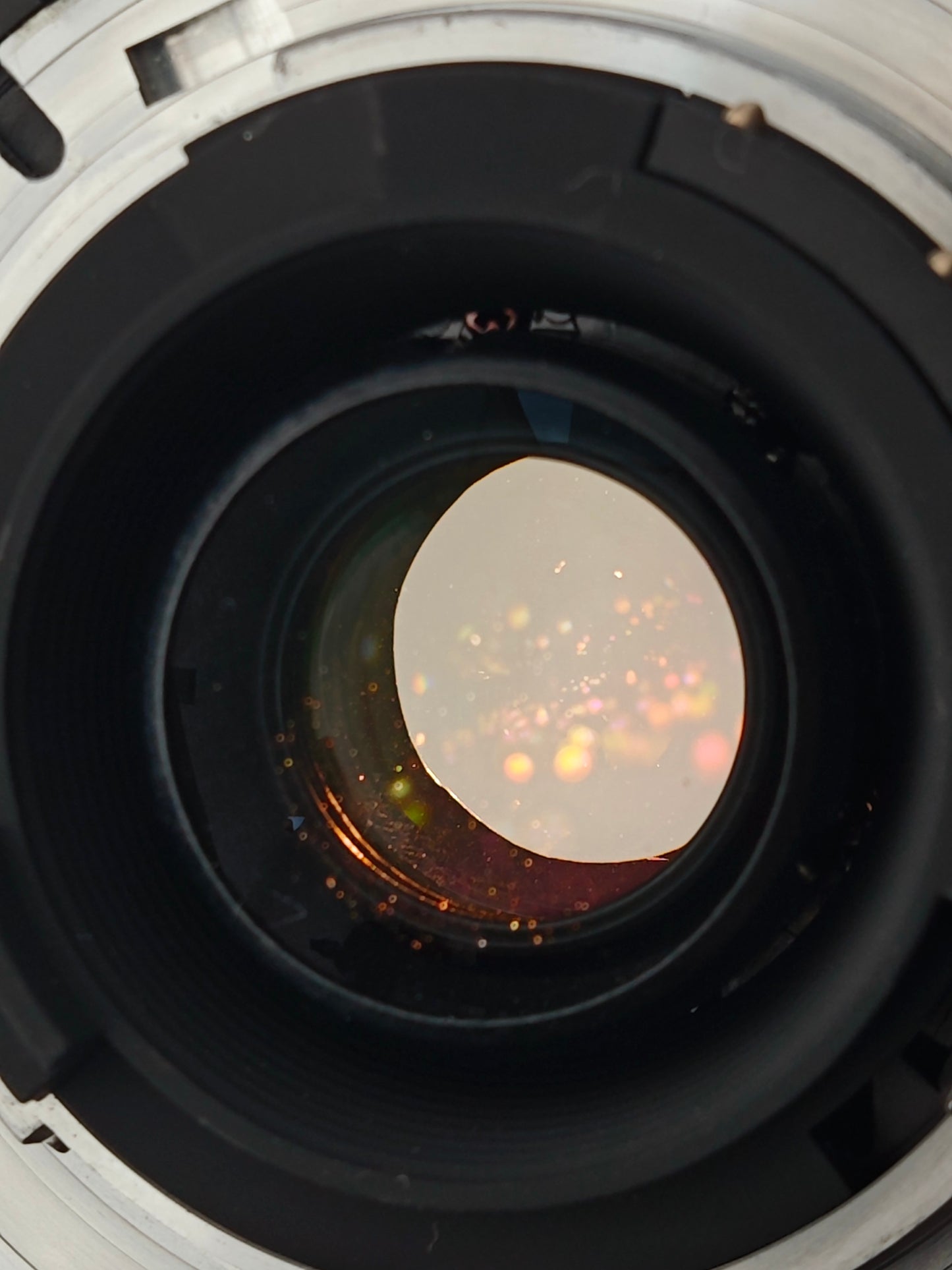 Nikon F100 with Nikon AF Nikkor 28-105mm F3.5-4.5 D