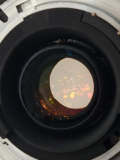 Nikon F100 with Nikon AF Nikkor 28-105mm F3.5-4.5 D