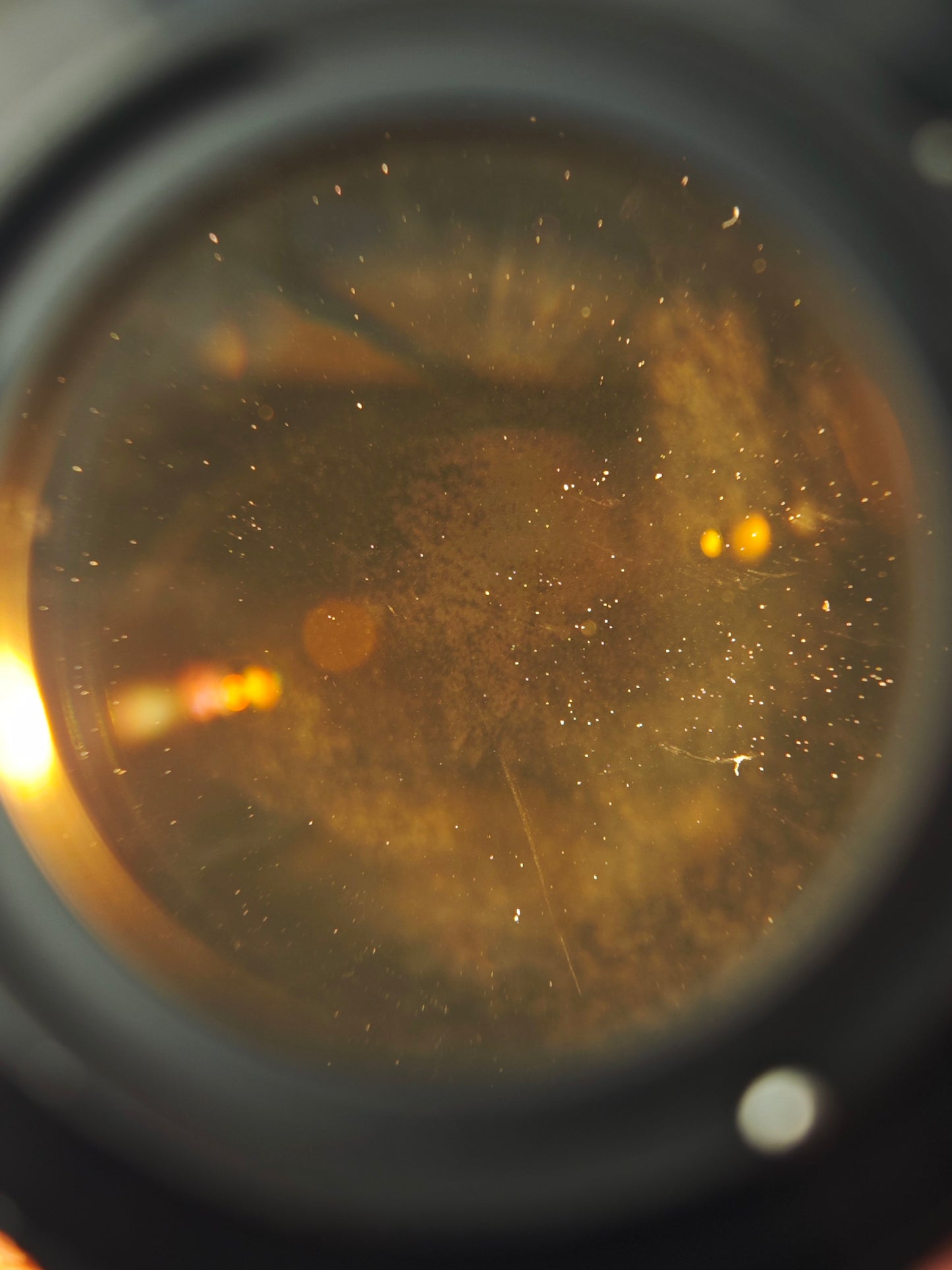 Super-Takumar 50mm F1.4 [M42 mount]