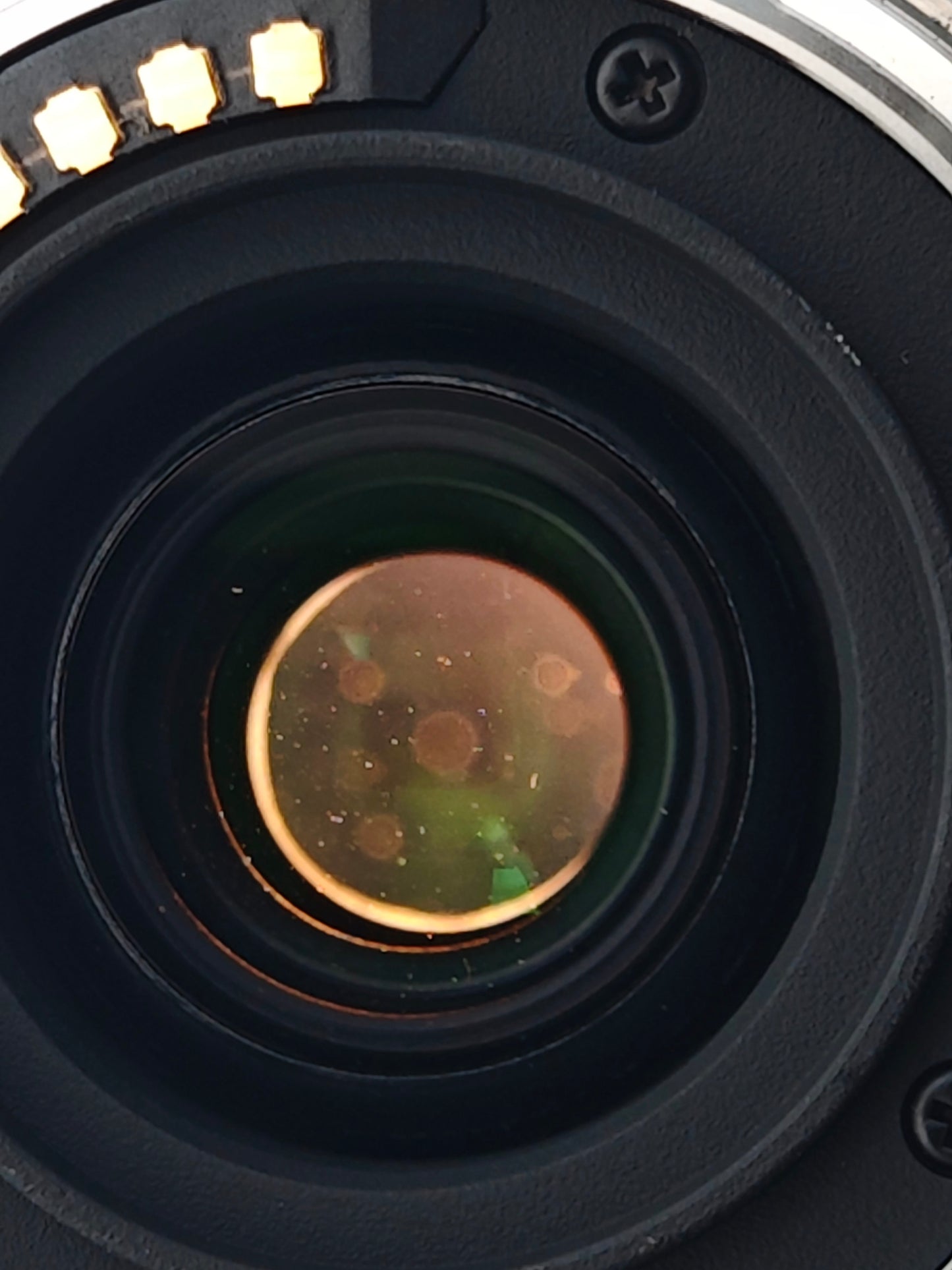 Panasonic Lumix G Vario 45-200mm F4-5.6 Mega O.I.S. [M4/3 mount]