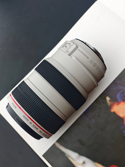 Canon Zoom Lens EF 70-300mm F4-5.6 L IS USM