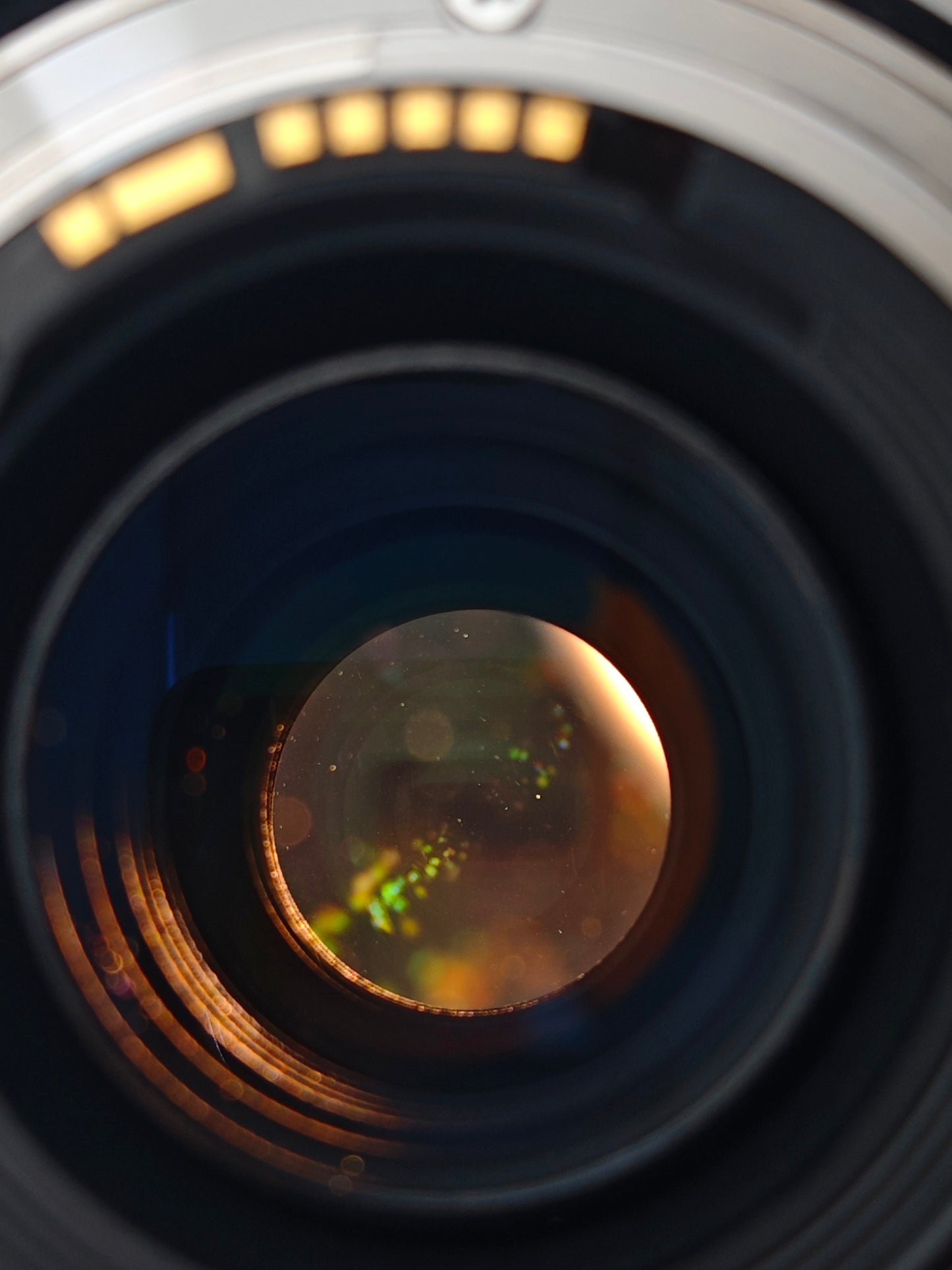 Canon Zoom Lens EF 70-300mm F4-5.6 L IS USM