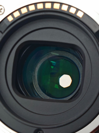 Sony E PZ 18-105mm F4 G OSS [E mount]