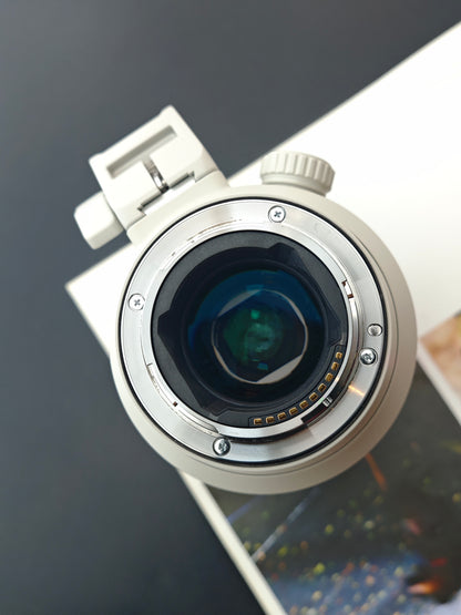 Sony FE 70-200mm F2.8 GM OSS II [E mount]