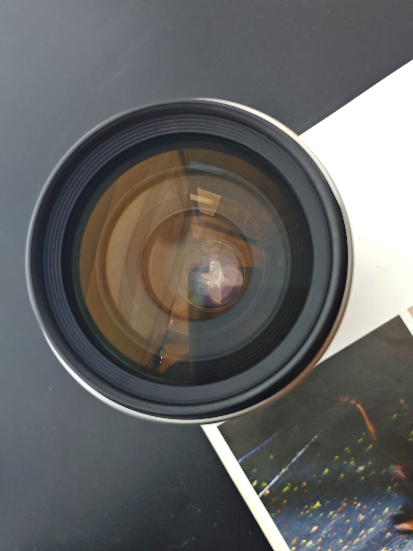 Canon Zoom Lens EF 100-400mm F4.5-5.6 L IS