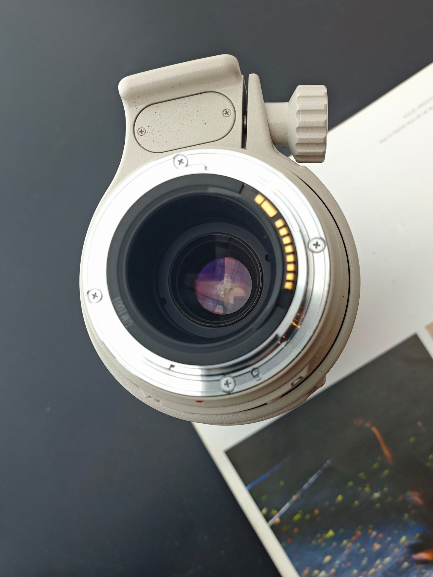 Canon Zoom Lens EF 100-400mm F4.5-5.6 L IS