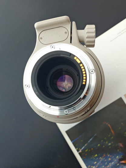 Canon Zoom Lens EF 100-400mm F4.5-5.6 L IS