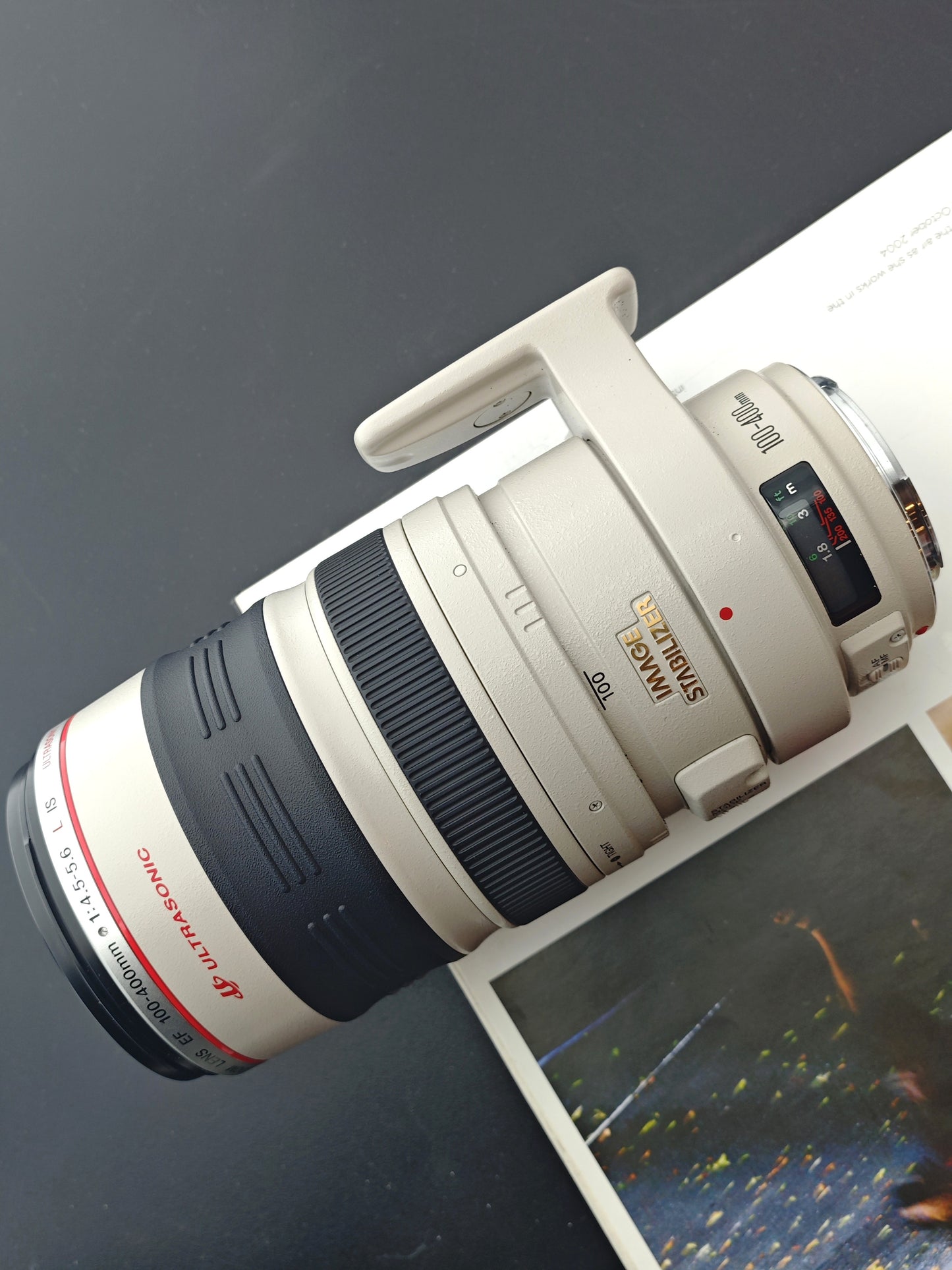 Canon Zoom Lens EF 100-400mm F4.5-5.6 L IS
