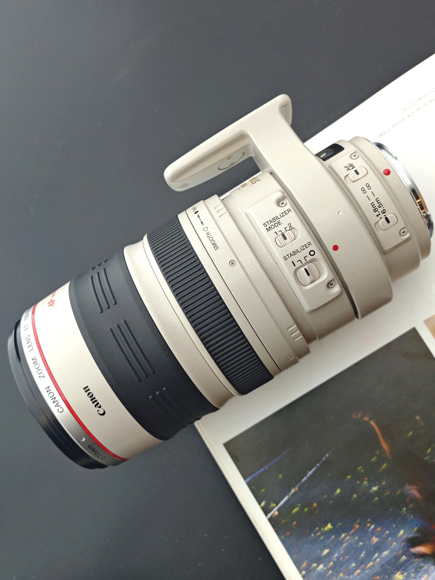 Canon Zoom Lens EF 100-400mm F4.5-5.6 L IS