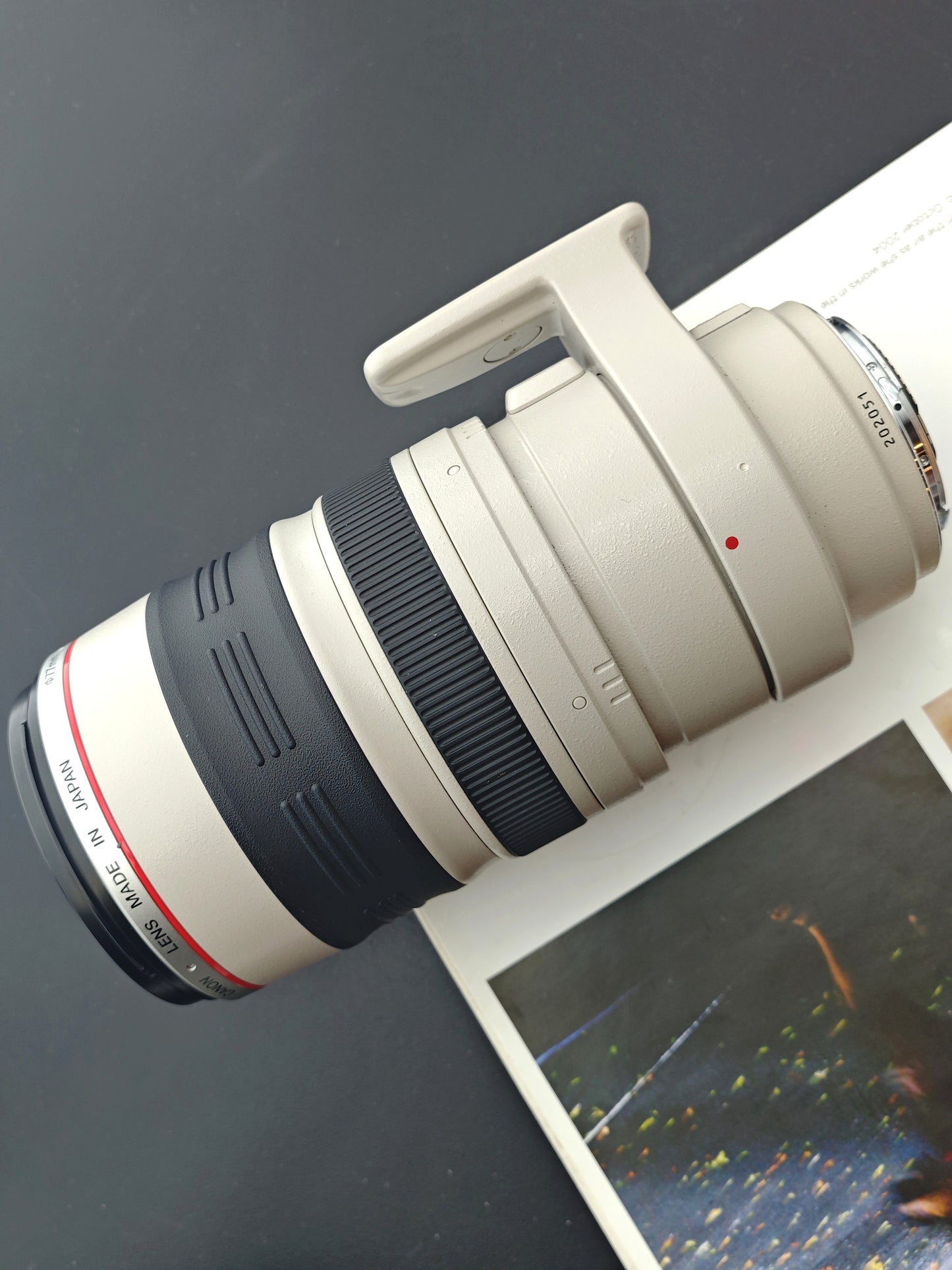 Canon Zoom Lens EF 100-400mm F4.5-5.6 L IS