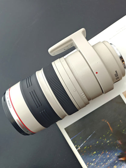 Canon Zoom Lens EF 100-400mm F4.5-5.6 L IS