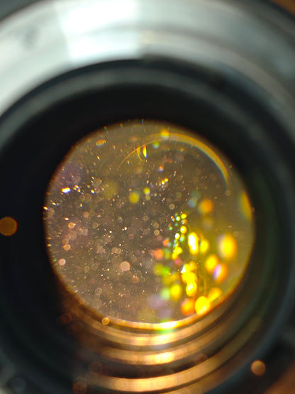 Nikon AF-S Nikkor 24-70mｍ F2.8 G ED N #1218563